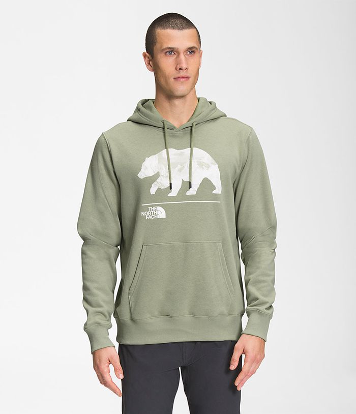 Sudadera Con Capucha The North Face Hombre Bearscape Pullover Verde - Peru 58462NXYO